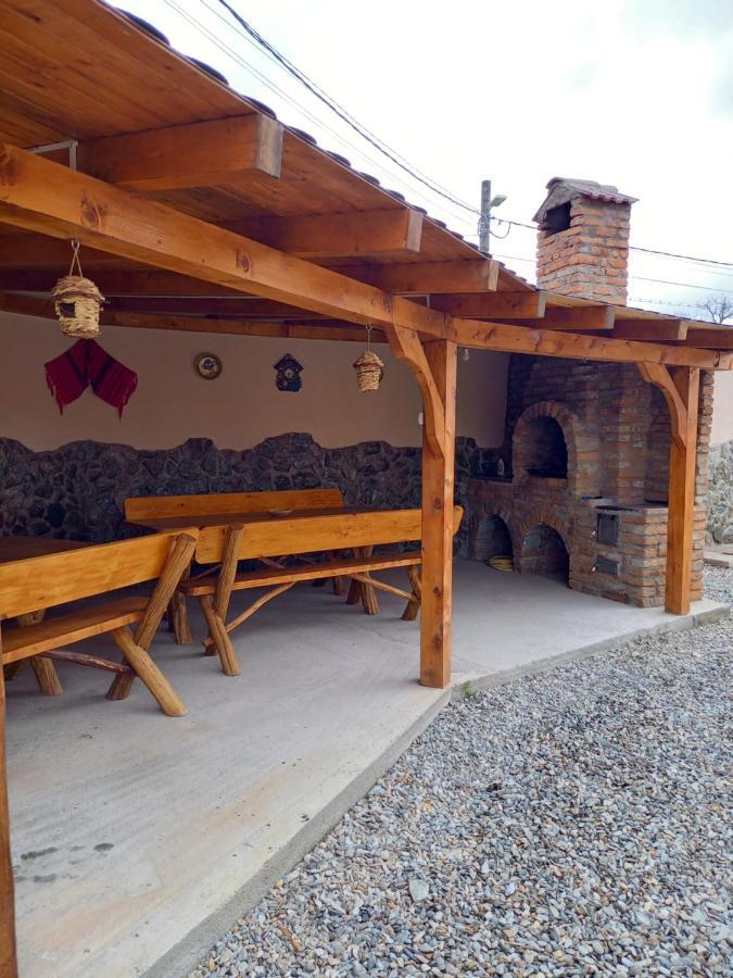 Casa Loredana Кирцишоара Екстер'єр фото