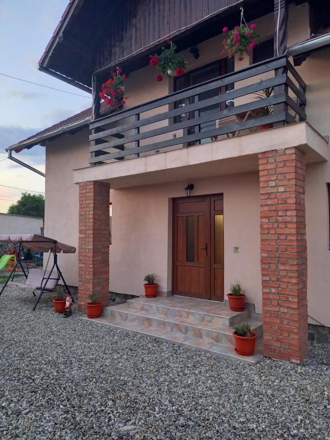 Casa Loredana Кирцишоара Екстер'єр фото